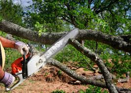 Lawn Watering Services in Gridley, CA